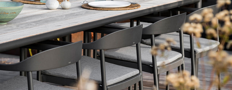 Dining Chairs
