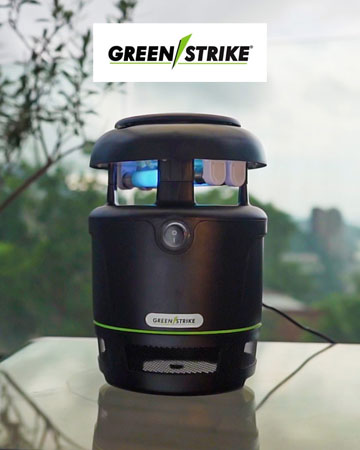 GREEN STRIKE