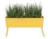 Maiori Greens Mini